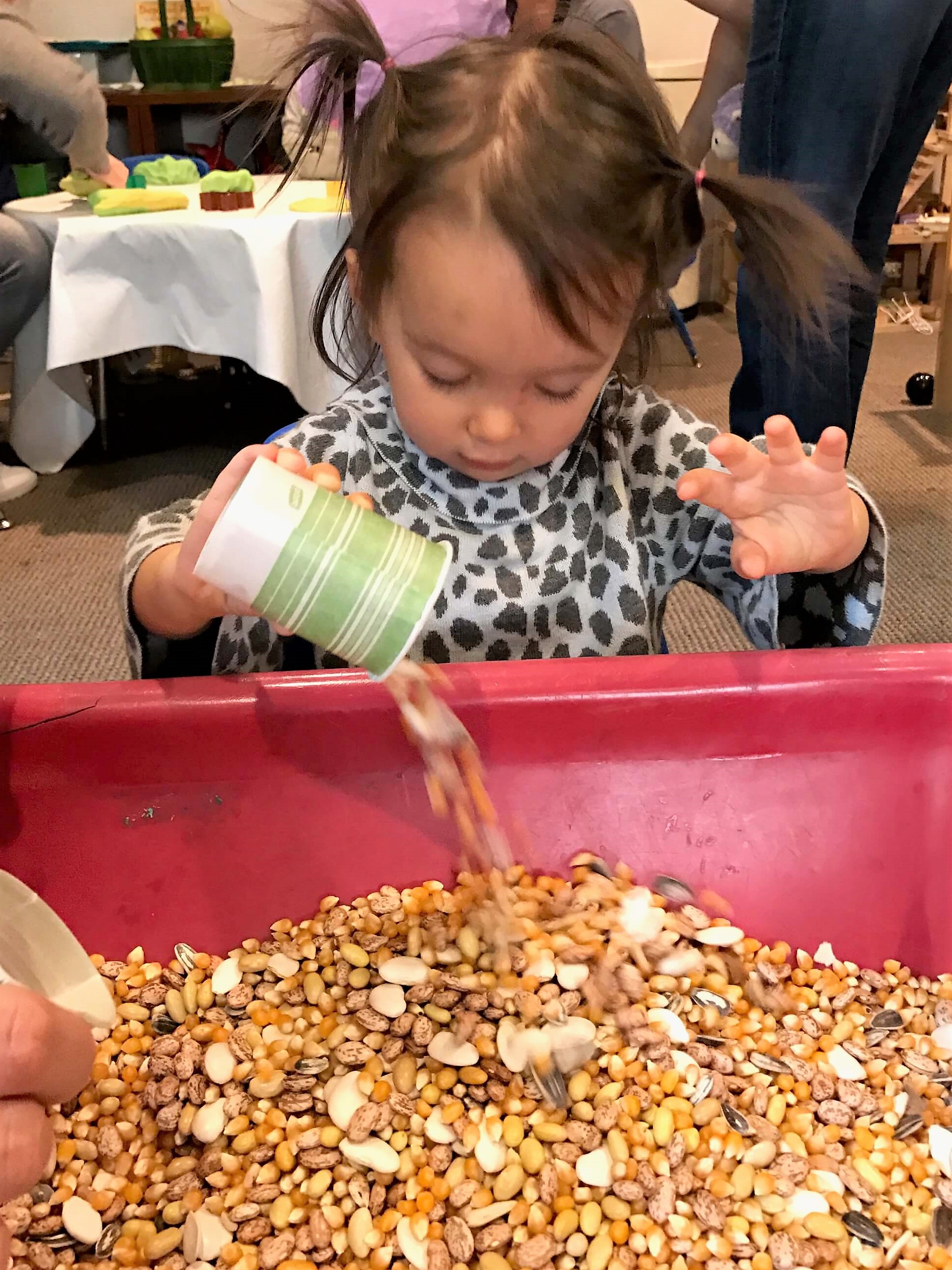 toddler girl pouring seeds into sesnsory table at early childhood development associates' class