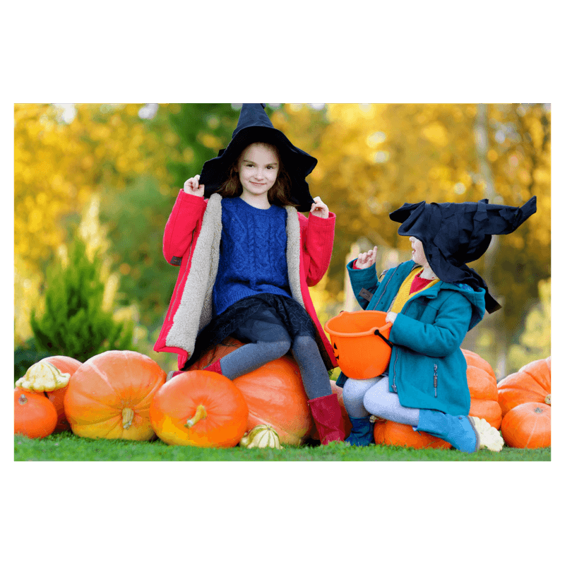 2 toddler girls playing on pumpkin field wearing witch costumes