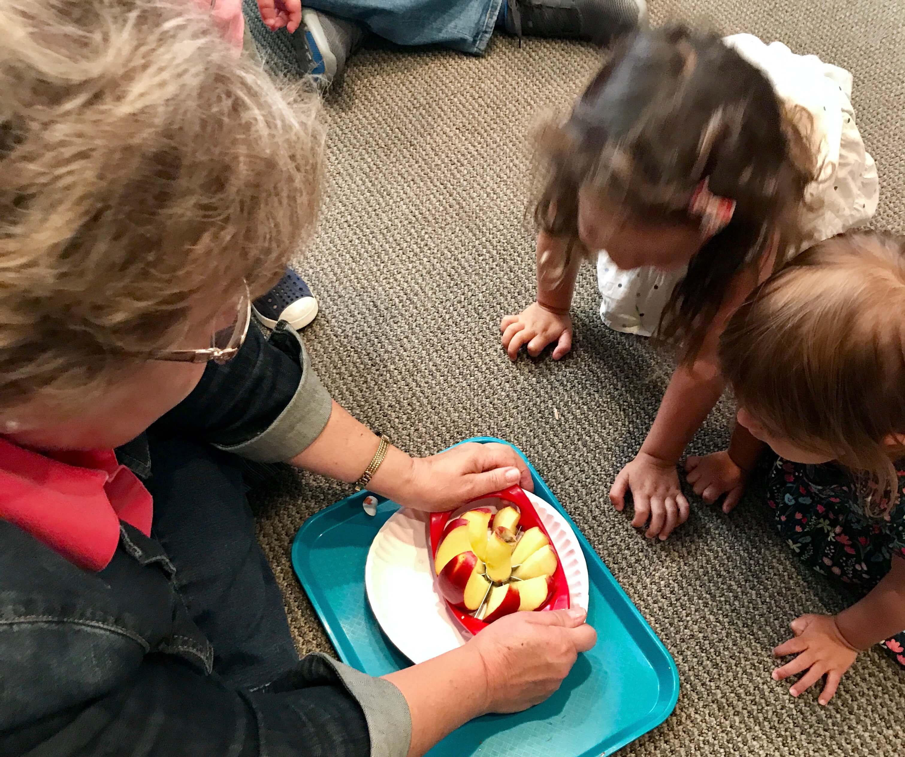 2 toddler looking at teacher's hands cutting apples with a apple cutter